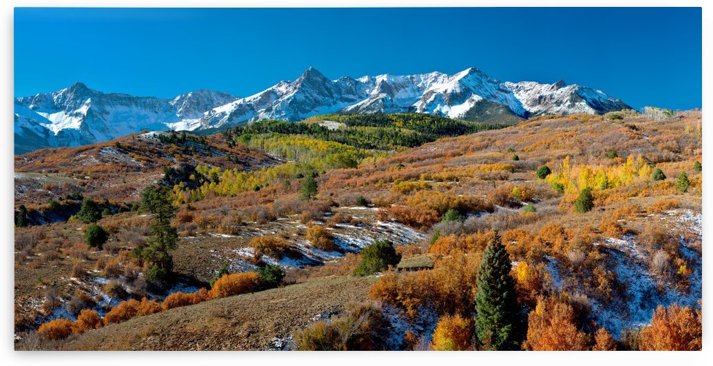 Dallas Overlook Fall Colors -- 8 x 16 ft. Wall Mural by John Freeman