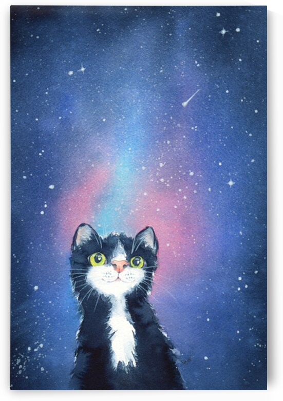 Cat gazing at the stars watercolor painting by Karen Kaspar