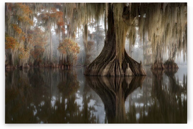 Secrets of the Autumn Mist by Rick Berk