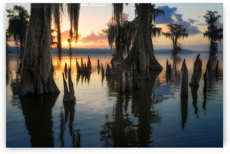 Autumn Sunrise in the Bayou by Rick Berk