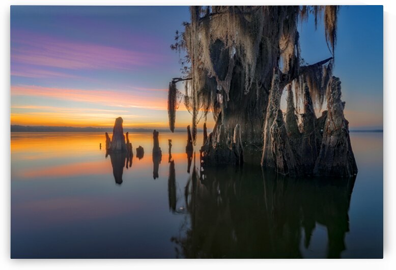 Bon Matin Dans le Marais by Rick Berk