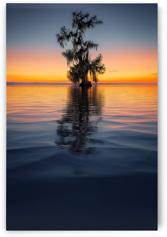 L’Épilogue du Bayou Tranquille by Rick Berk