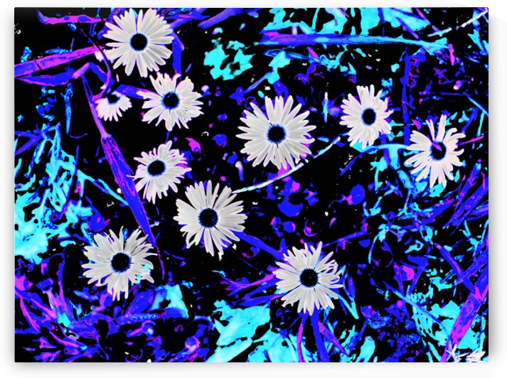  Vibrant Abstract Neon Daises                                                                                                                     by Catriona Roberts Nature Photography and Designs