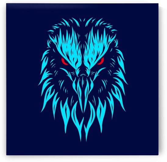 Colourful eagle hawk by Towseef Dar