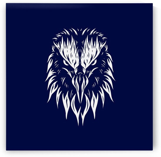 Eagle hawk potrait by Towseef Dar