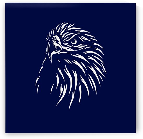 Eagle face design  by Towseef Dar