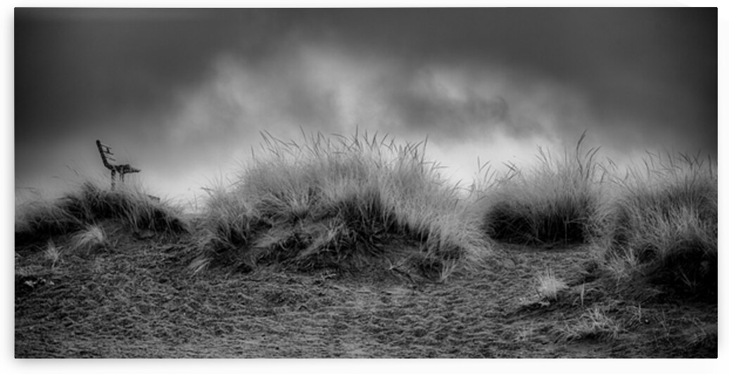 Contemplation Before the Storm by Dream World Images