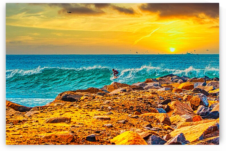 SOLE SURFER  by Charles Herchert