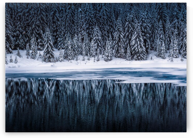 Winter Infinity  by Travis Cole Nature Photography