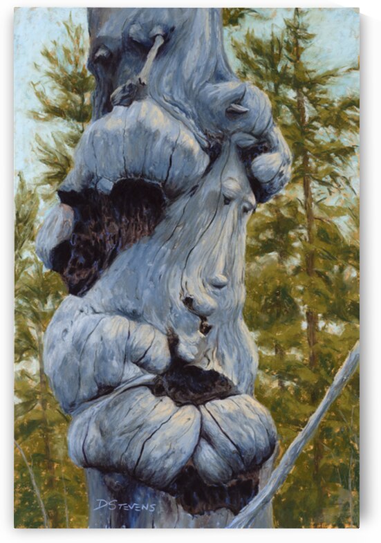 Contemplation by Donna Stevens Fine Art