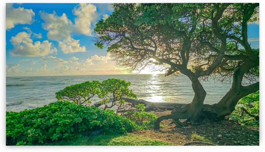 The Solar Lattice Open Edition by Leland Rankin Fine Art