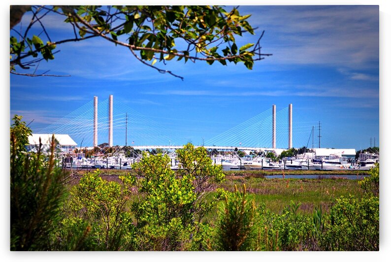 Burtons Boats and A Bridge by Bill Swartwout Photography