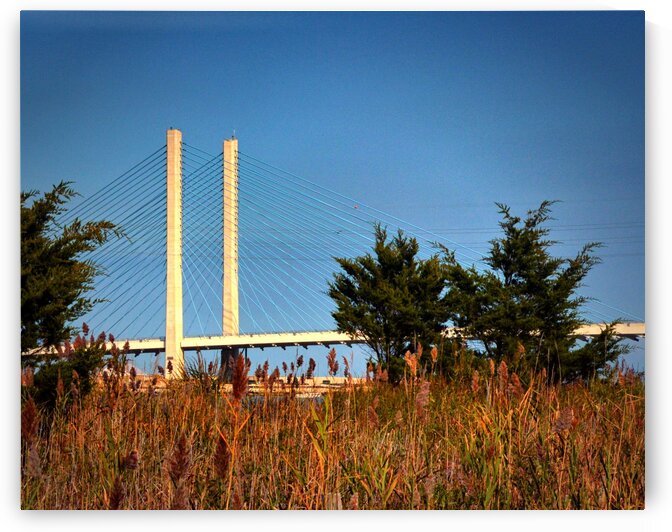Indian River Bridge Stanchions Standing Tall by Bill Swartwout Photography