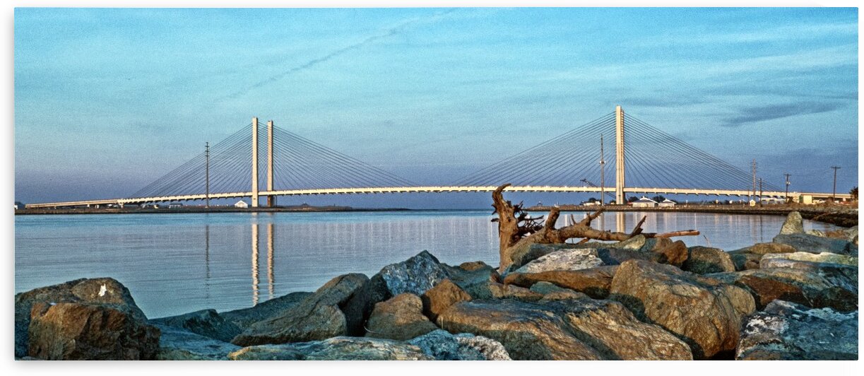 Indian River Bridge Driftwood Panorama by Bill Swartwout Photography
