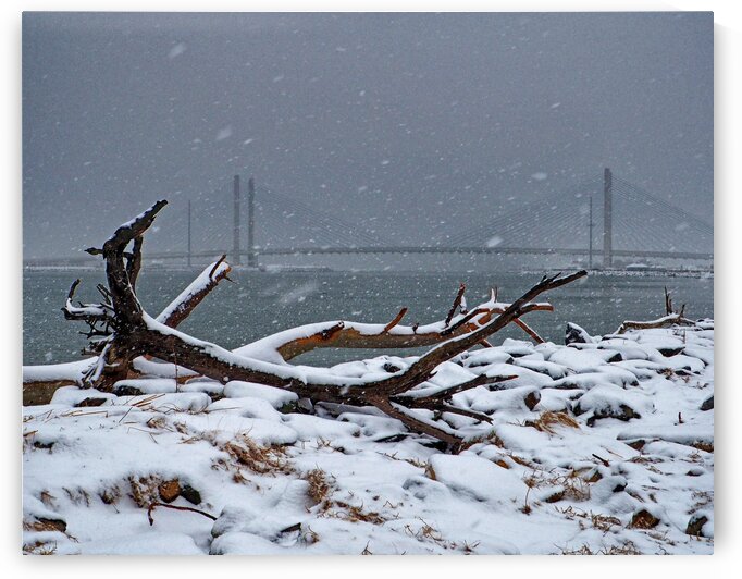 Indian River Bridge with Driftwood and Snow by Bill Swartwout Photography