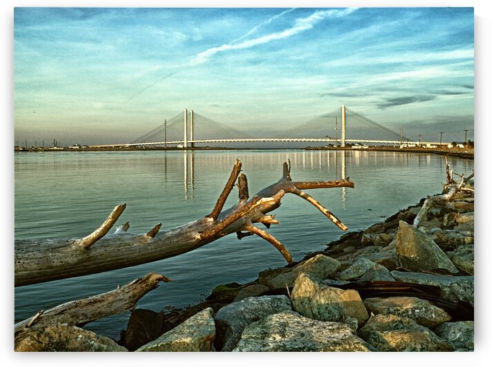 Indian River Bridge with Driftwood by Bill Swartwout Photography