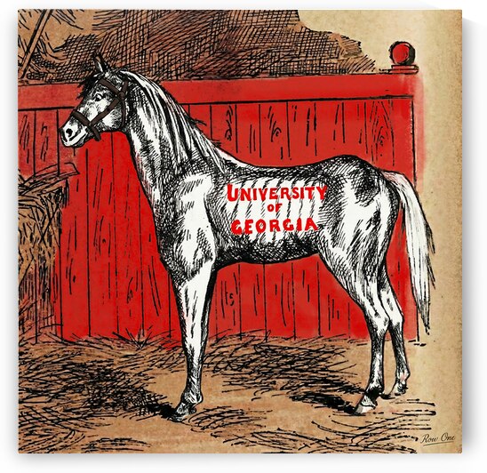 Early 1900s University of Georgia Horse Art by Row One Brand