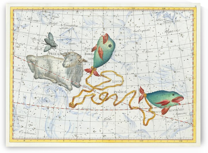 Constellation Piscis by Johann Elert Bode published 1801 by Posh Print