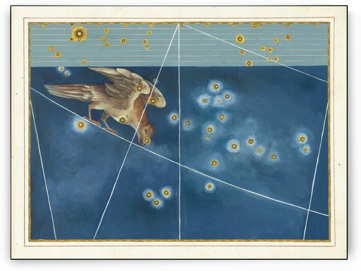 Constellation Corvus by Johann Bayer published in 1624 by Posh Print