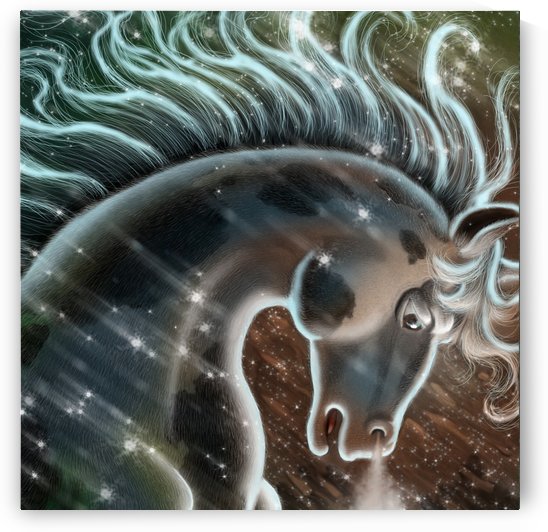 horse nature stallion equestrian by Shamudy