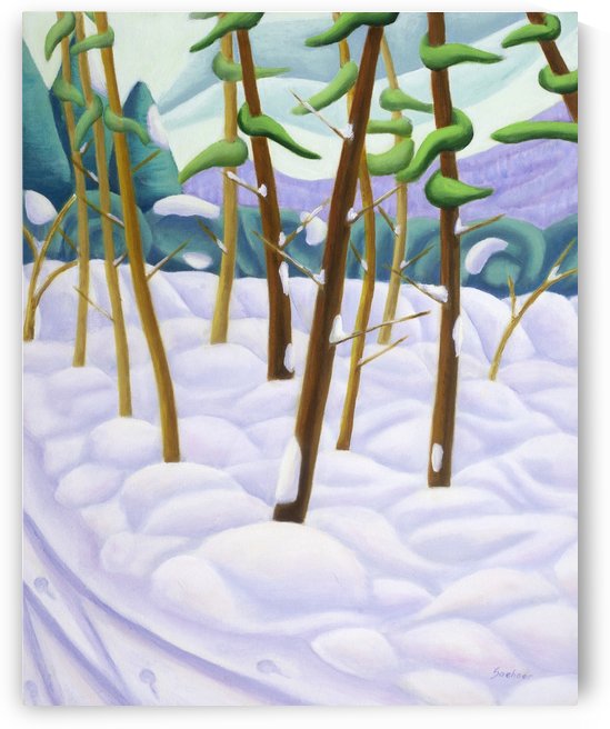 February Outback by Lynn Soehner