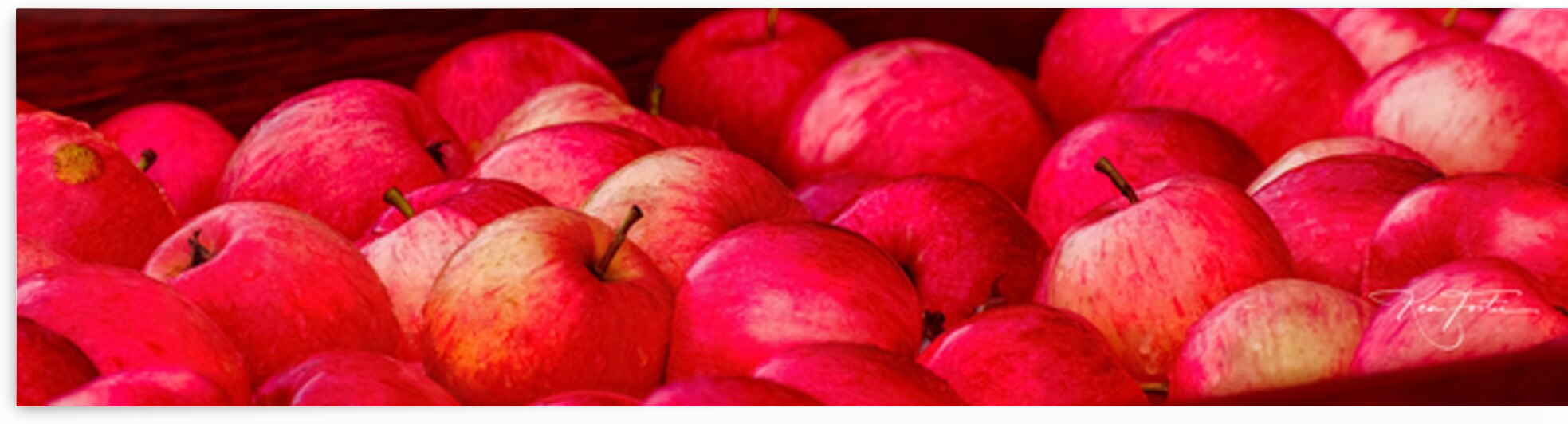 Cider Apples by Ken Foster