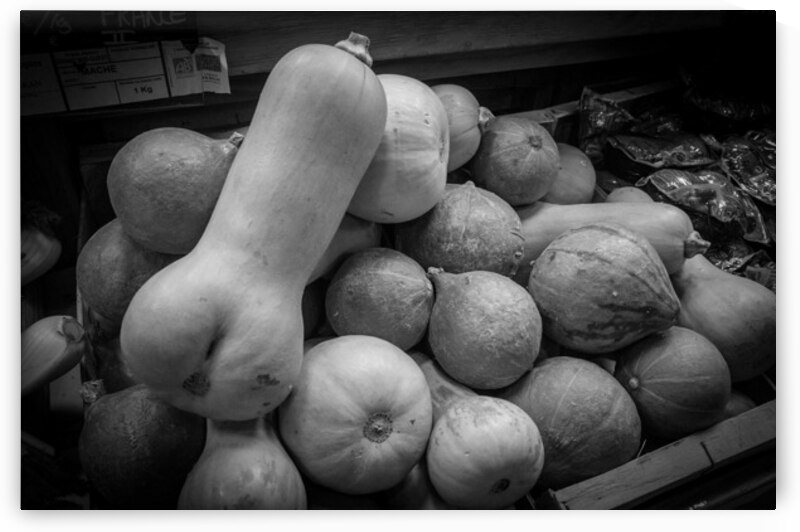 Cucurbitaces   by Emane