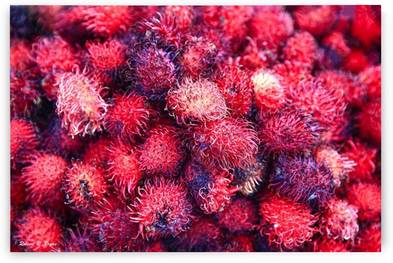 better boat 3Leche K1Z5238 copy topaz denoise tex by Roland Bryan