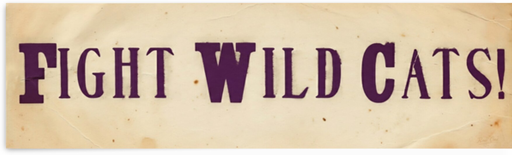 Fight Wild Cats Vintage Kansas State Art by Row One Brand