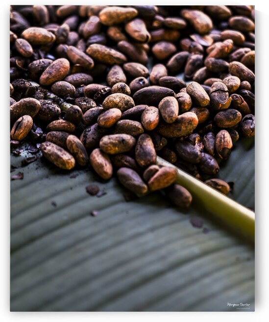 CACAO BEANS by Morgane Charlier Photography