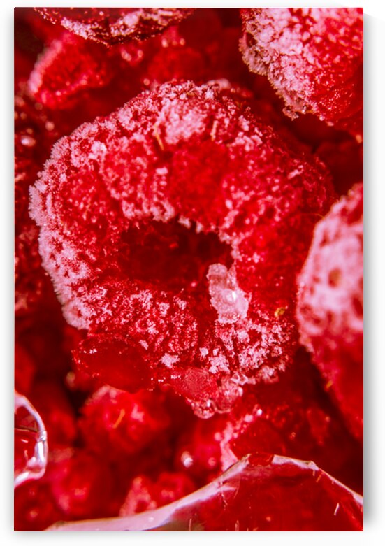 Raspberry Macro Photography by Jorgo
