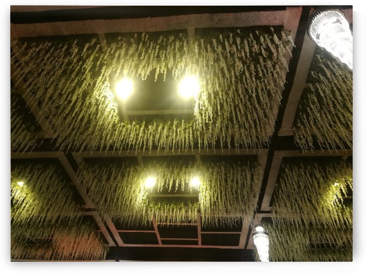 Ceiling by Hafiz Muhammed Usman