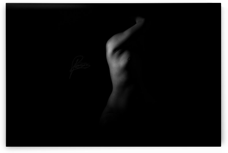 HR9_9267 by Heredia Roses