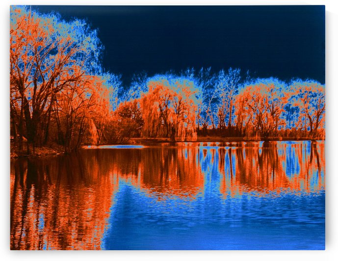 Herrick Lake Willow Trees Solarization In Color by ImagesAsArt By John Louis Benzin