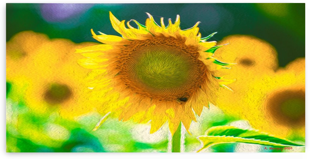 SunFlower by Mentari Arts