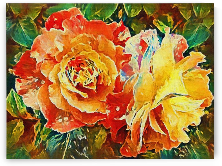 Two Garden Roses  by HH Photography of Florida