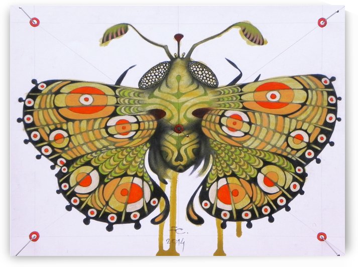 moth by federicocortese