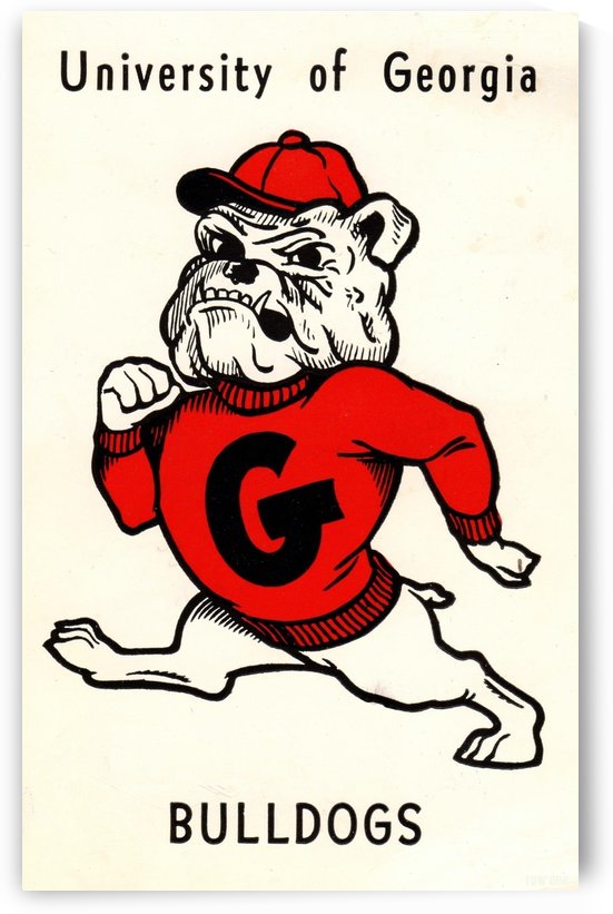 1960s_College_Vintage Georgia Bulldog Art_Row One Brand by Row One Brand