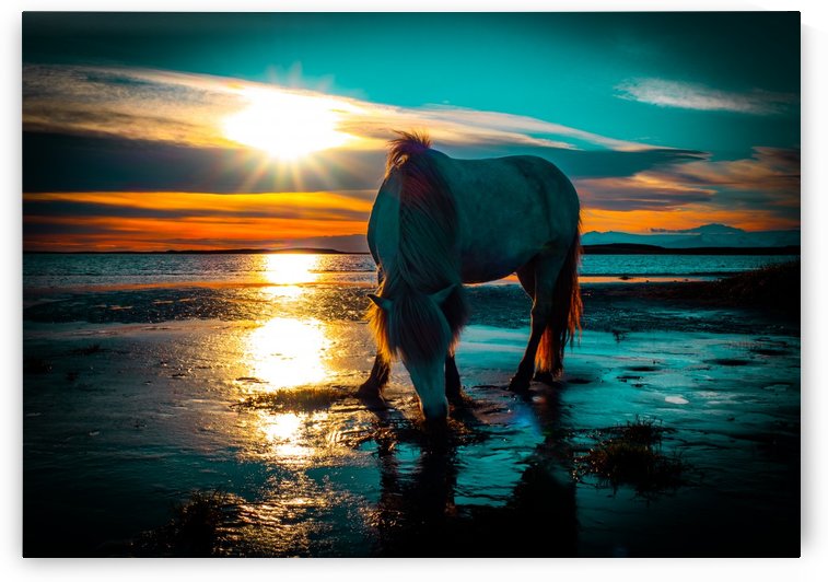 Whos Going To Ride your Wild Horses by Verinder Grewal Photography
