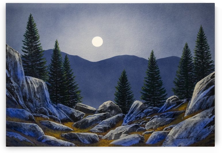 Mountain Mystery by Frank Wilson