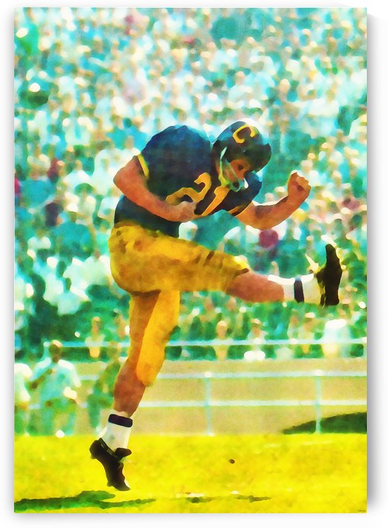 California Bears Watercolor Football Punter by Row One Brand