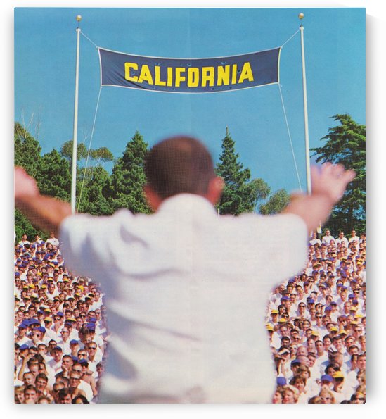 California Memorial Stadium Art_Football Stadium Wall Art_College Football Art Vintage Cal Bears by Row One Brand