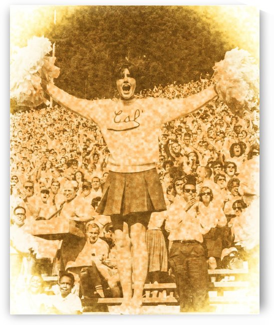 Cal Bear Cheerleader by Row One Brand