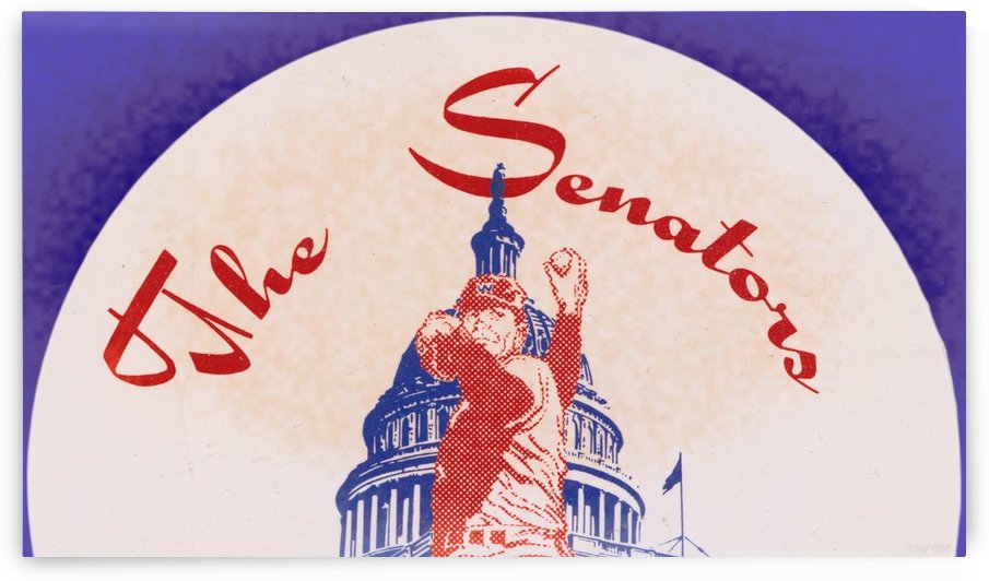 Vintage Baseball Artwork The Senators by Row One Brand
