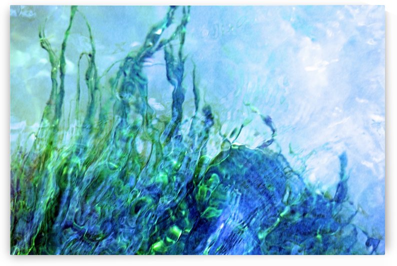 Water Dancing by Deb Oppermann