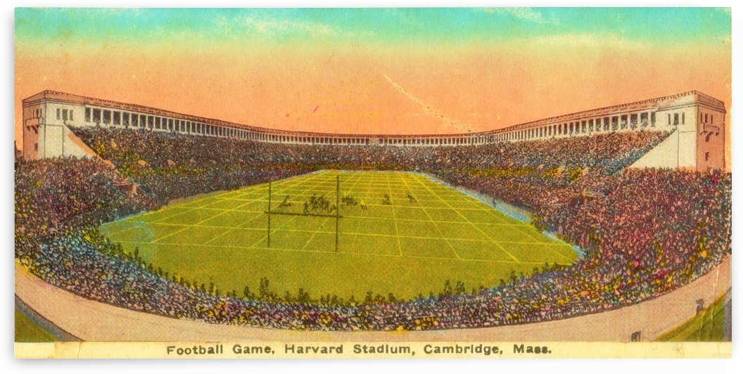 1919 Harvard by Row One Brand