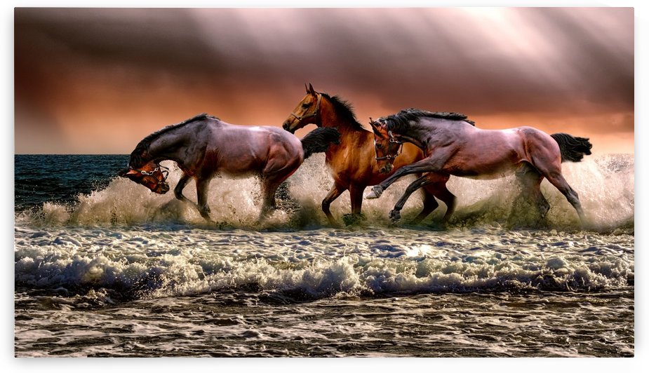 Photo of three galloping horses on body of water by Shamudy