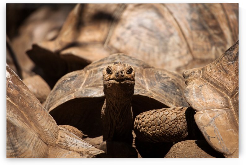 3W3A1100 copy by MIRICA DAN-ALEXANDRU