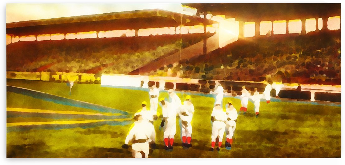 Summer Night Sox by Row One Brand