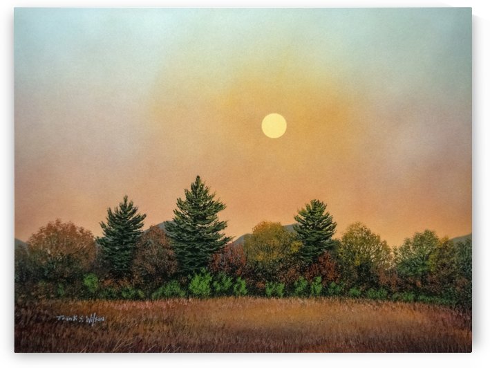 Beginning Light  by Frank Wilson